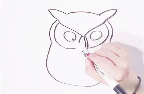 可爱猫头鹰简笔画步骤图