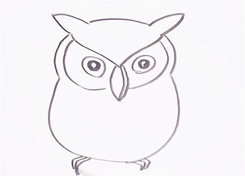 可爱猫头鹰简笔画步骤图