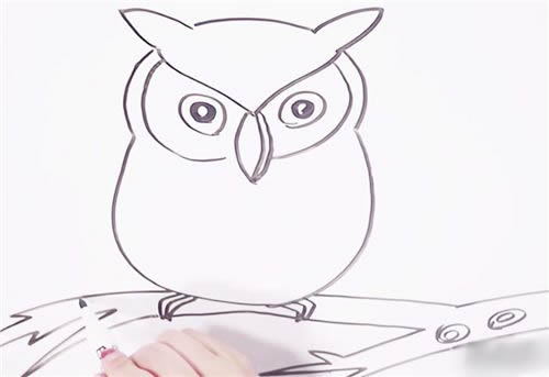 可爱猫头鹰简笔画步骤图