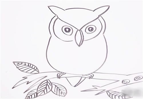 可爱猫头鹰简笔画步骤图