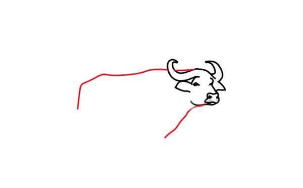 水牛简笔画步骤图片