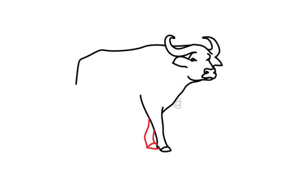 水牛简笔画步骤图片