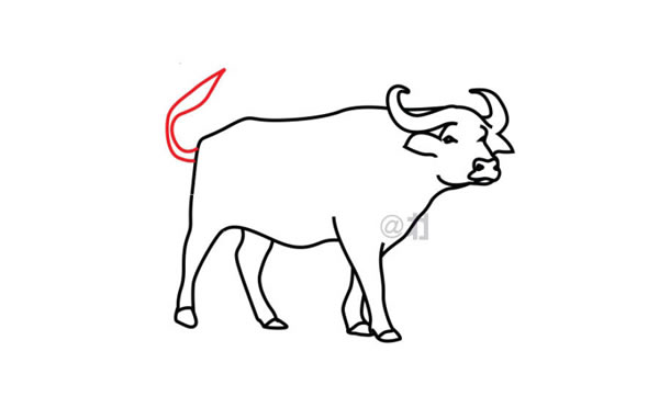 水牛简笔画步骤图片