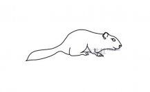 /jianbihua/dongwujianbi/23175.html