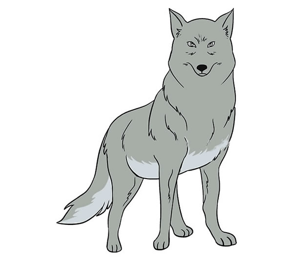狼的笔画图片2