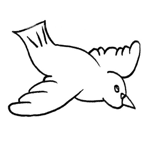 鸽子简笔画步骤4