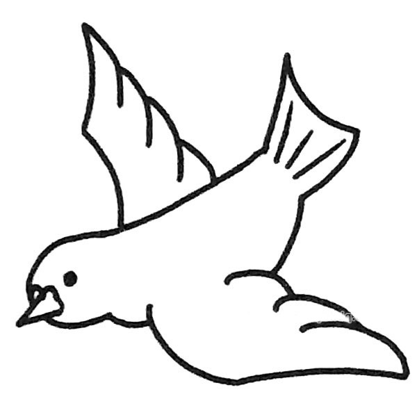 鸽子简笔画图片1