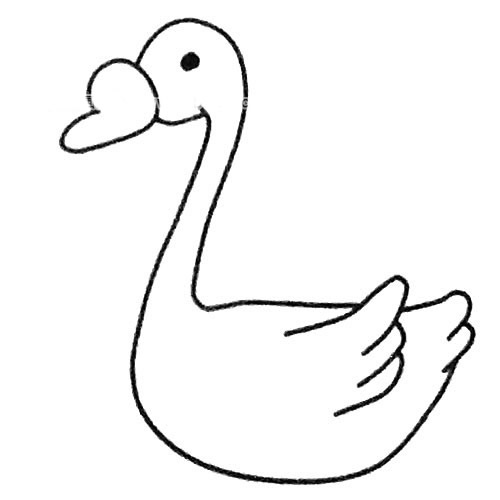 天鹅简笔画步骤4