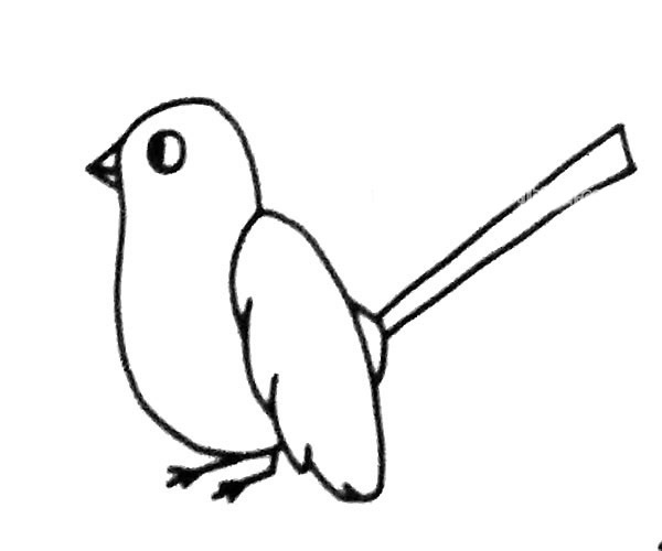 简单的喜鹊简笔画图片4