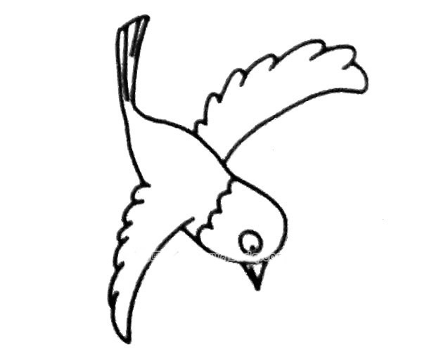 喜鹊简笔画图片6