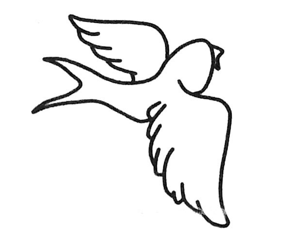 小燕子简笔画步骤图片3