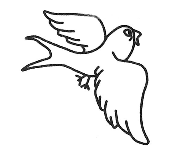 小燕子简笔画步骤图片4