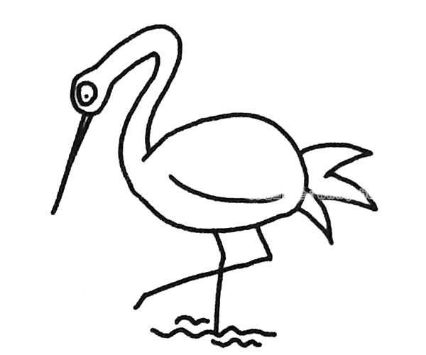 漂亮的丹顶鹤简笔画图片1