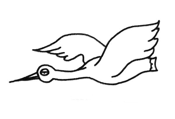 漂亮的丹顶鹤简笔画图片3