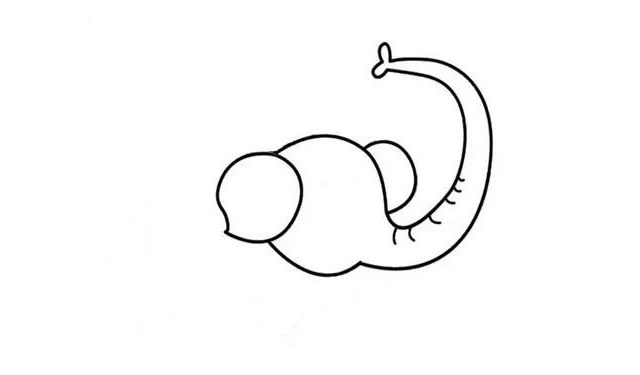 大象简笔画步骤图片