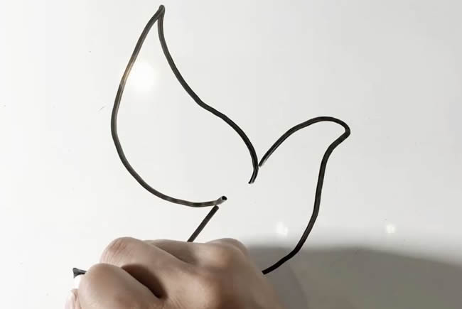 鸽子简笔画 鸽子简笔画图解教程
