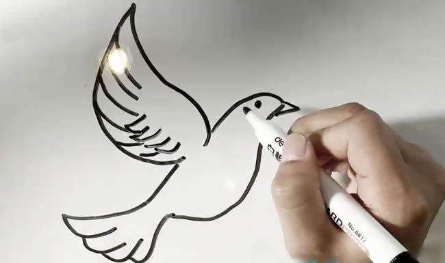 鸽子简笔画 鸽子简笔画图解教程