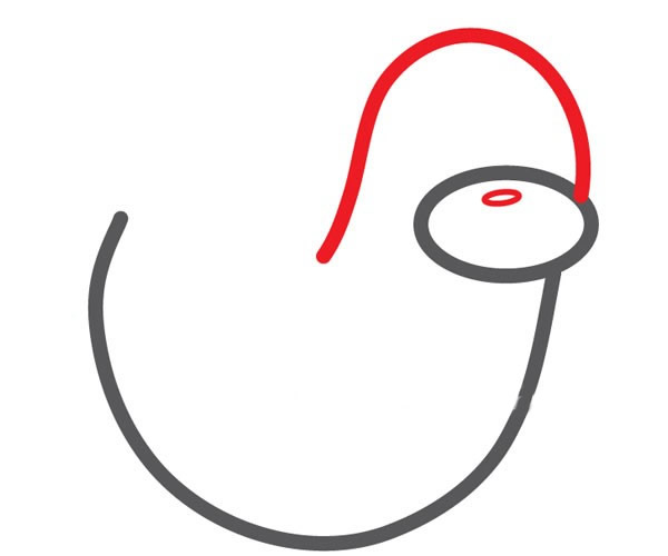 可爱的海豹简笔画步骤图片