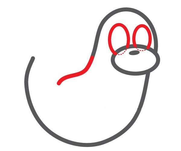 可爱的海豹简笔画步骤图片