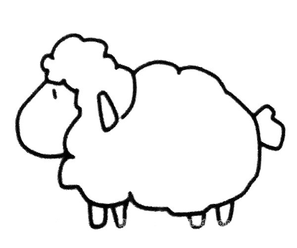 六张可爱的绵羊简笔画图片