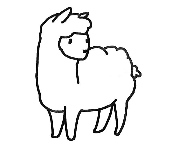 羊驼简笔画图片