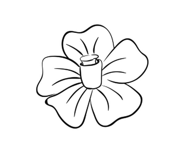 一组简单漂亮的花瓣简笔画图片