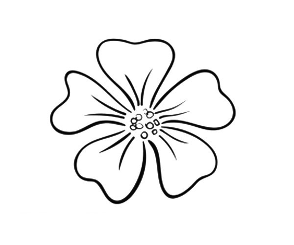 一组简单漂亮的花瓣简笔画图片