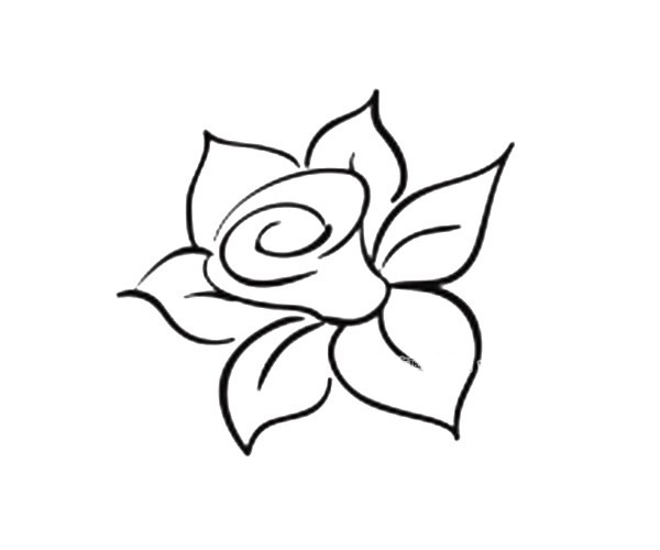 一组简单漂亮的花瓣简笔画图片