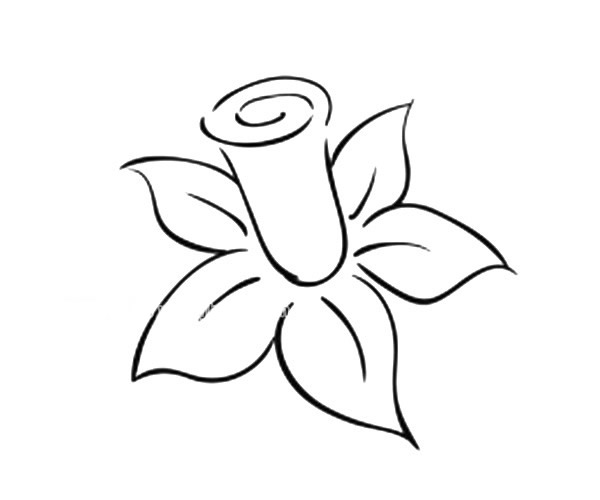 一组简单漂亮的花瓣简笔画图片