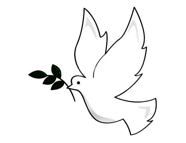 和平鸽怎么画 象征和平的和平鸽简笔画作品