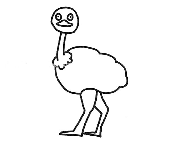 6款鸵鸟简笔画图片