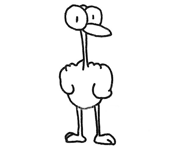 6款鸵鸟简笔画图片