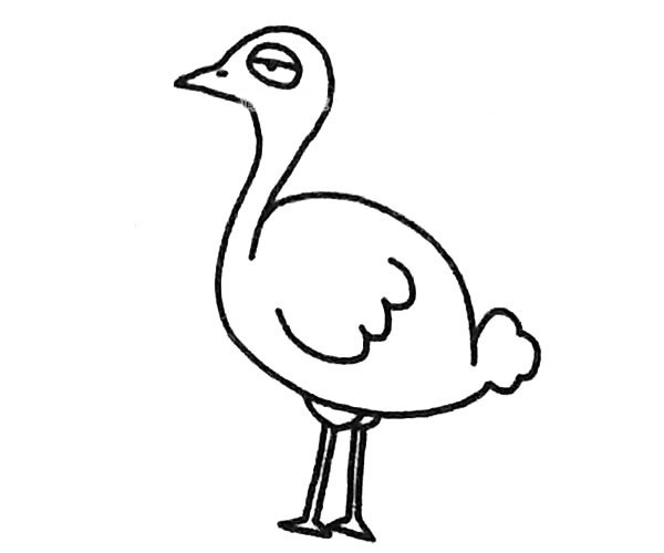 6款鸵鸟简笔画图片
