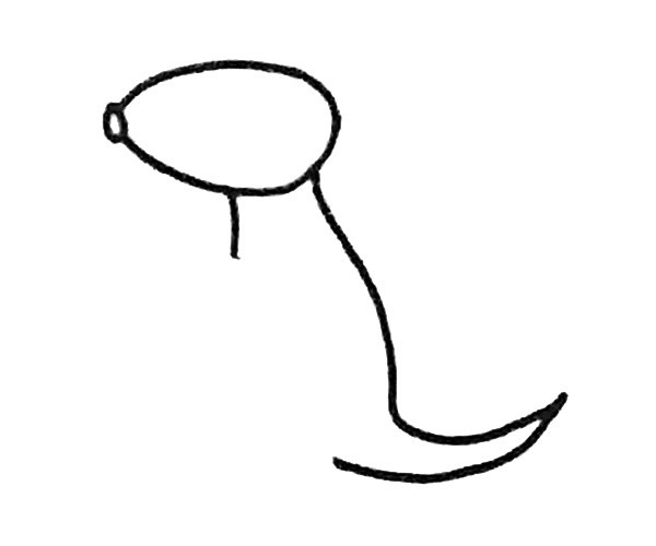 袋鼠简笔画步骤图解