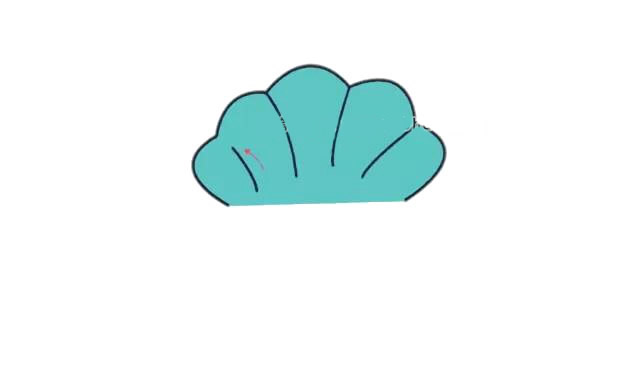 珍珠贝简笔画步骤图解