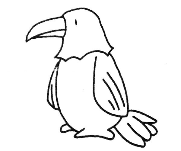 老鹰简笔画图片 老鹰的简单画法大全