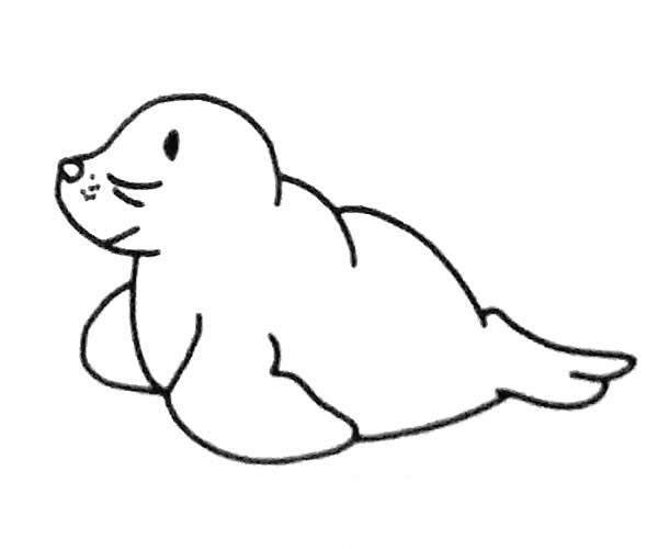 6款可爱的海狮简笔画图片