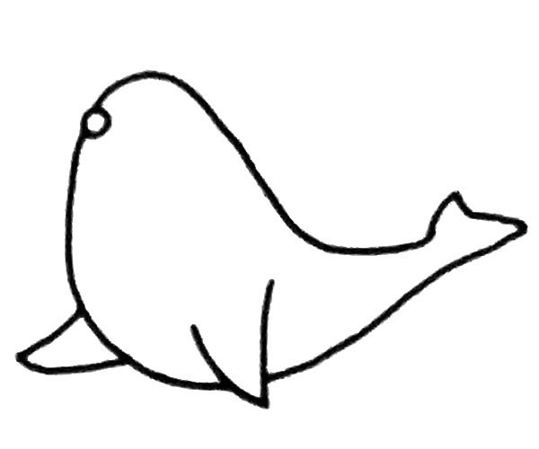 学画海狮简笔画步骤图解