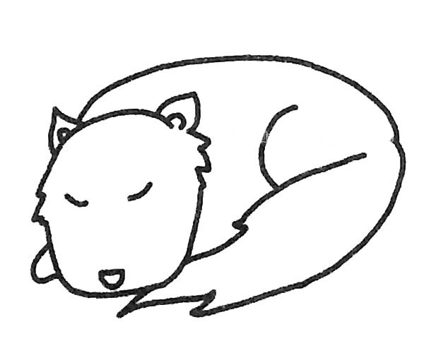 卡通狼简笔画图片