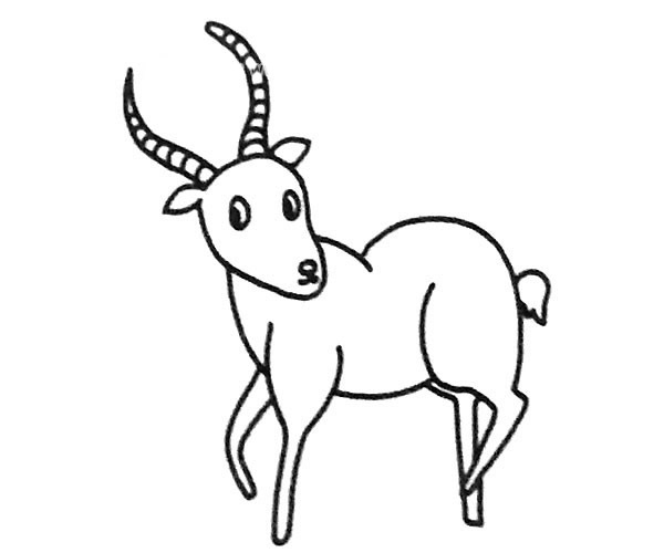 羚羊简笔画图片3
