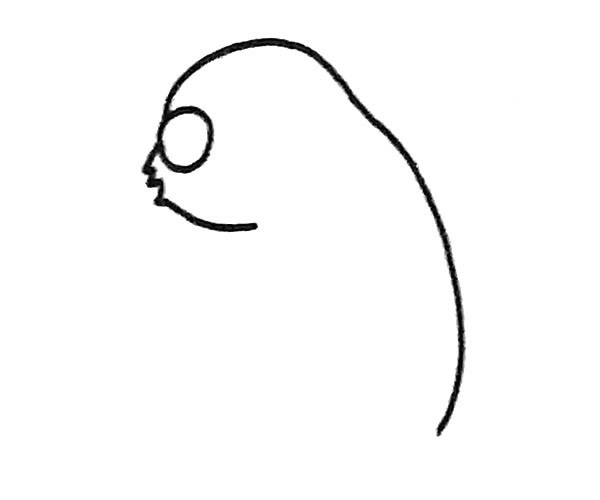 树懒简笔画步骤图解