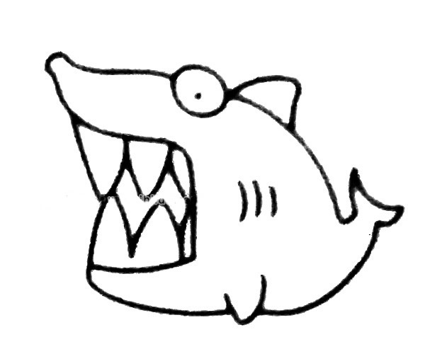 卡通鲨鱼简笔画步骤图解4