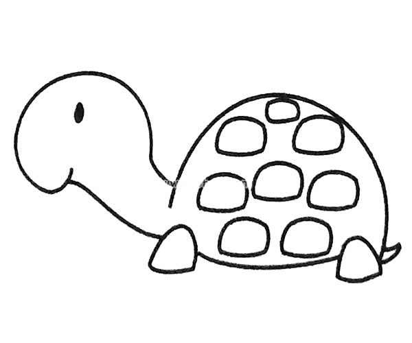 6款卡通乌龟简笔画图片