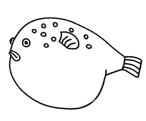 6款可爱的河豚简笔画图片
