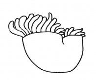 /jianbihua/dongwujianbi/21036.html