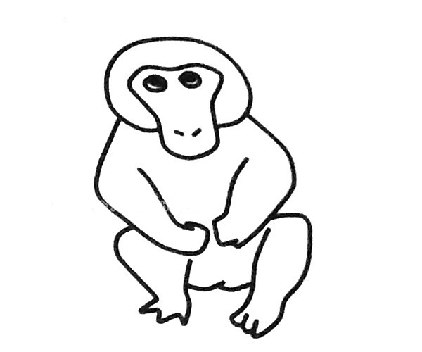 狒狒简笔画图片2