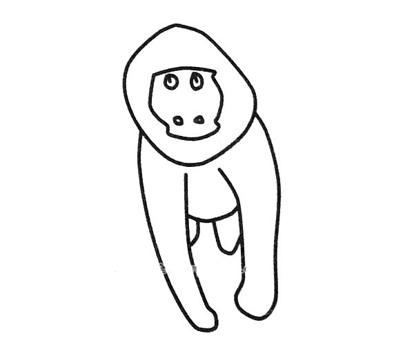 狒狒简笔画图片6