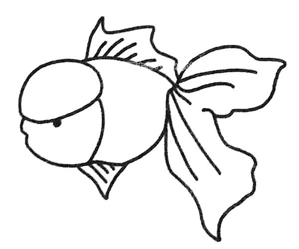 孔雀鱼简笔画图片5