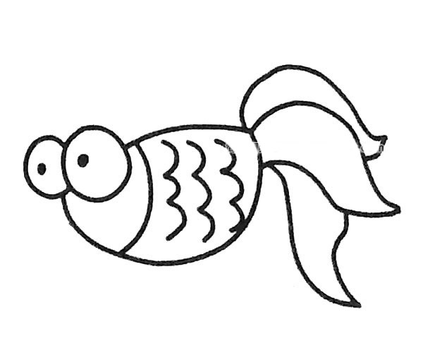 金鱼简笔画图片6