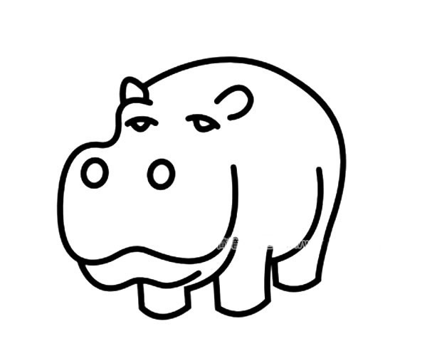 可爱的卡通河马简笔画图片